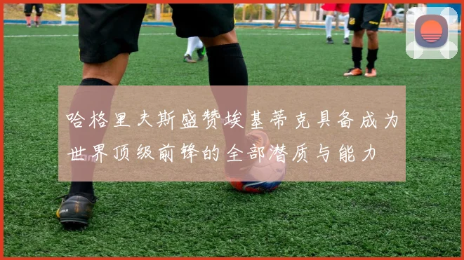 哈格里夫斯盛赞埃基蒂克具备成为世界顶级前锋的全部潜质与能力