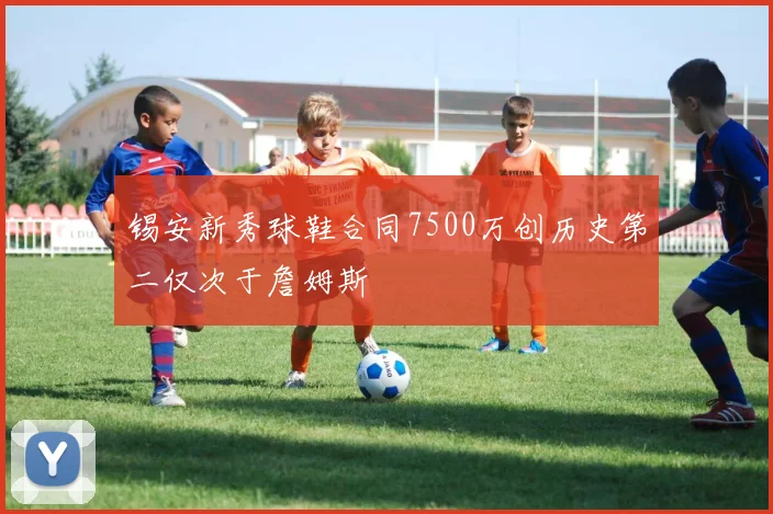锡安新秀球鞋合同7500万创历史第二仅次于詹姆斯