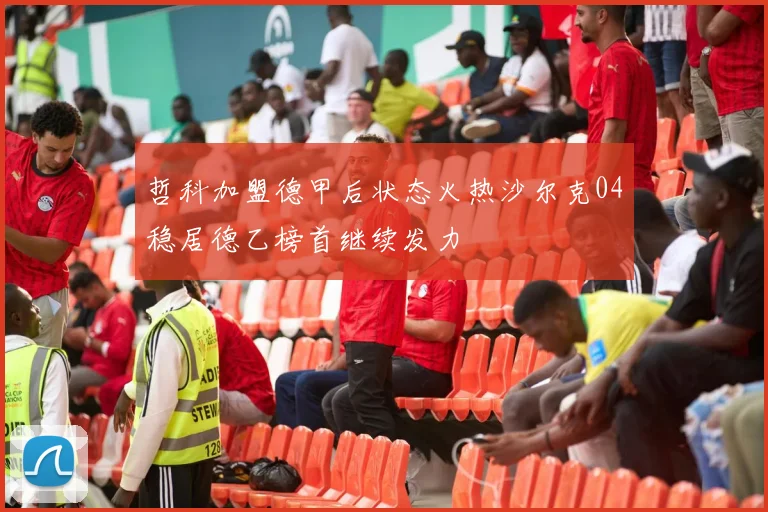 哲科加盟德甲后状态火热沙尔克04稳居德乙榜首继续发力